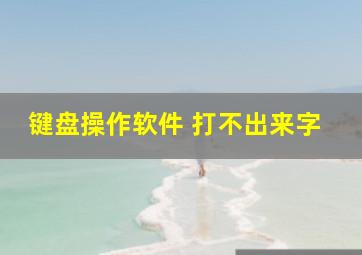 键盘操作软件 打不出来字